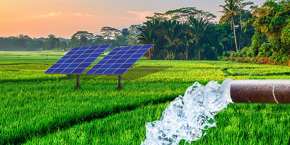 Solar Power Plants Installer